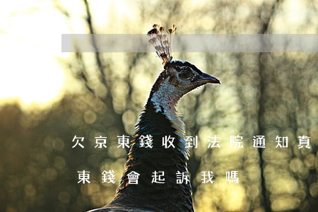 欠京東錢收到法院通知真的會被起訴嗎（欠京東錢會起訴我嗎）