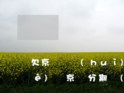 欠京東錢會(huì)不讓你用分期樂(lè)嗎(京東分期樂(lè)利息高嗎)