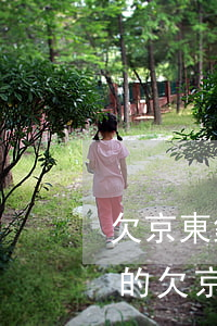 欠京東錢發(fā)信息說起訴了是不是真的（欠京東的錢會(huì)被起訴嗎）