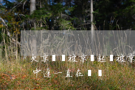 欠京東錢被京東起訴(被京東起訴到了法院,但中途一直在還錢)