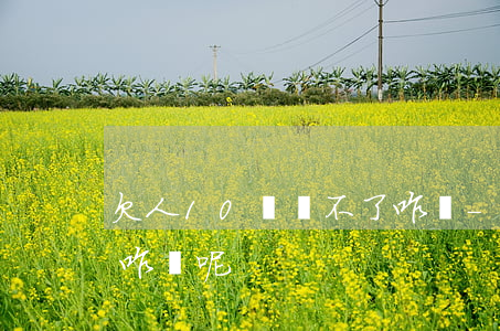 欠人10萬還不了咋辦-欠人10萬還不了咋辦呢