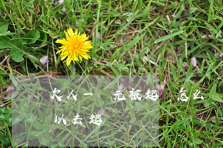 欠人一萬元被起訴怎么辦(被人欠了一萬多可以去起訴嗎)