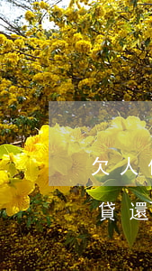 欠人保助貸錢(qián)還不上(人保助力貸還不上怎么辦)