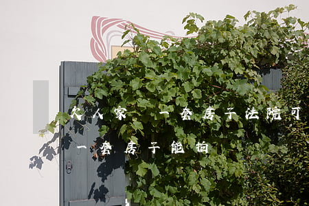 欠人家錢一套房子法院可以拍賣嗎(欠款人有一套房子能拍賣嗎?)