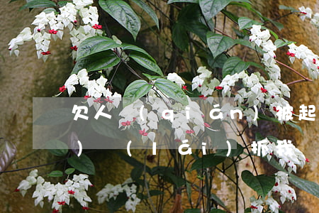 欠人錢(qián)被起訴法院會(huì)來(lái)抓我嗎（欠錢(qián)被起訴到法院的人）