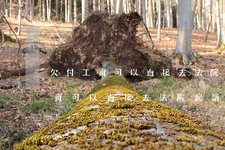 欠付工資可以直接去法院起訴嗎(拖欠員工工資可以直接去法院起訴嗎)