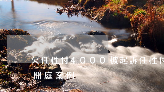 欠任性付4000被起訴(任性付逾期被起訴開庭案例)
