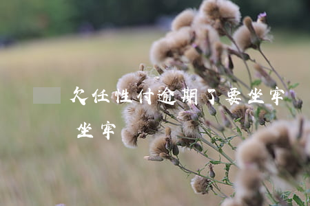 欠任性付逾期了要坐牢嗎(欠任性付逾期了要坐牢嗎)
