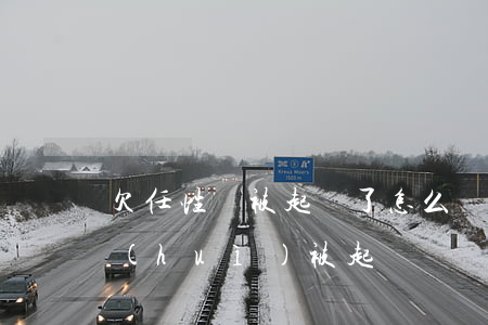 欠任性貸被起訴了怎么辦(任性貸逾期多久會(huì)被起訴)