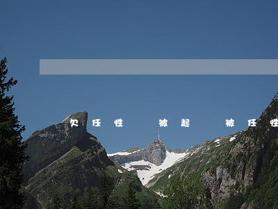 欠任性貸被起訴(被任性貸起訴了)