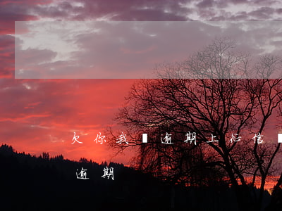 欠你我貸逾期上征信嗎(欠款還了征信顯示仍逾期)