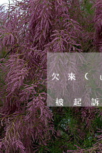 欠來(lái)分期1700會(huì)被起訴嗎(欠來(lái)分期1700會(huì)被起訴嗎)