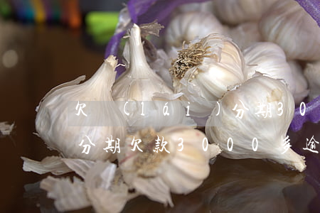 欠來(lái)分期300多(來(lái)分期欠款3000多逾期 279天會(huì)怎么樣)