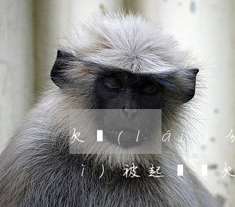 欠來(lái)分期5000一年會(huì)被起訴嗎(欠來(lái)分期2000會(huì)不會(huì)被起訴)
