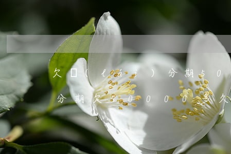 欠來(lái)分期500塊(來(lái)分期欠50000多久起訴)