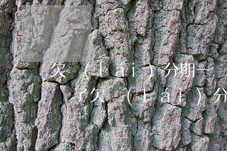欠來(lái)分期一萬(wàn)三被起訴了(欠來(lái)分期三千塊錢會(huì)起訴嗎)