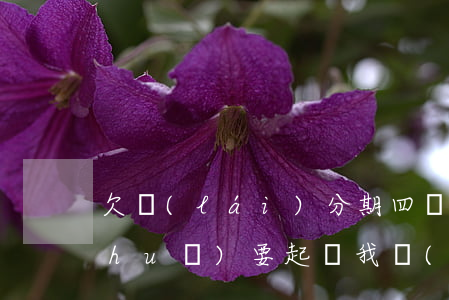 欠來(lái)分期四萬(wàn)說(shuō)要起訴我(來(lái)分期欠4萬(wàn)會(huì)不會(huì)起訴法院)