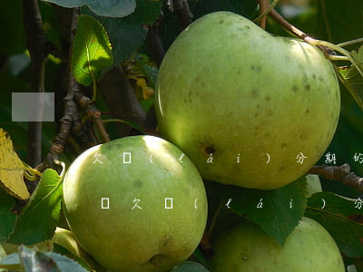 欠來(lái)分期的親身經(jīng)歷(欠來(lái)分期的錢(qián))