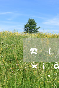 欠來(lái)分期的錢(qián)現(xiàn)在說(shuō)起訴我(有沒(méi)有欠來(lái)分期錢(qián)起訴打官司的)