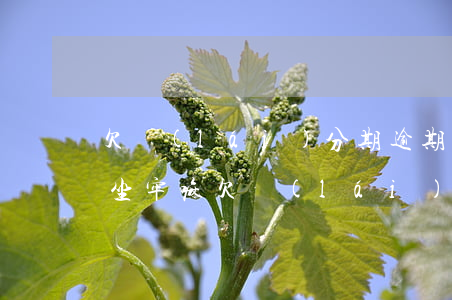 欠來(lái)分期逾期久了會(huì)坐牢嘛(欠來(lái)分期一萬(wàn)逾期半年坐牢多久)