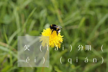 欠來(lái)分期錢(qián)沒(méi)錢(qián)還怎么辦(分期欠錢(qián)沒(méi)還怎么不麻煩家人)