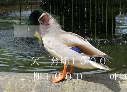 欠來分期1000塊錢可以起訴嗎-欠來分期1000塊錢可以起訴嗎法院