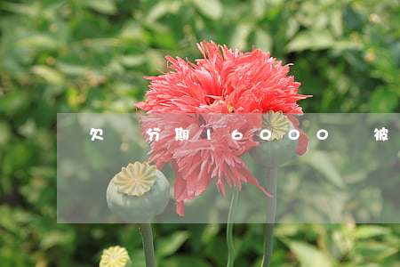 欠來分期16000會被起訴嗎-