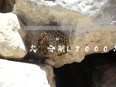 欠來分期17000(欠來分期9000三年沒還)