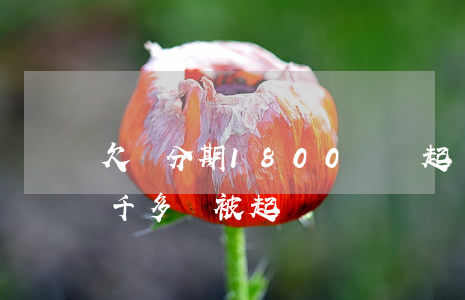 欠來分期1800塊 會起訴嗎(來分期欠款2千多會被起訴嗎)