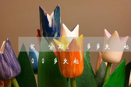 欠來分期1萬多多久會起訴(來分期欠50000多久起訴)