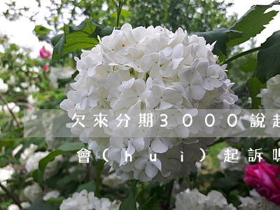 欠來分期3000說起訴(來分期欠4000會(huì)起訴嗎)