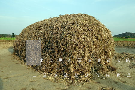 欠來分期4萬多會被法院傳票嗎(來分期欠了三萬多被起訴的確實是四千多)