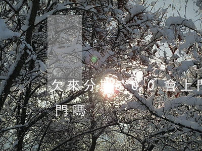 欠來分期500會上門嗎(來分期欠四萬會上門嗎)