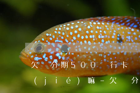 欠來分期500銀行卡會(huì)被凍結(jié)嘛-欠來分期500銀行卡會(huì)被凍結(jié)嘛安全嗎