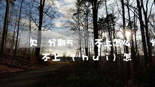 欠來分期5萬還不上怎么辦(來分期欠了兩萬還不上會(huì)怎樣)
