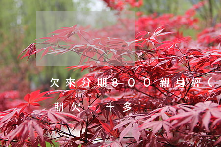 欠來分期800親身經(jīng)歷(來分期欠一千多)