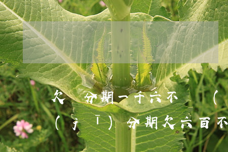 欠來分期一千六不給會(huì)怎樣(手機(jī)分期欠六百不還會(huì)有什么后果)