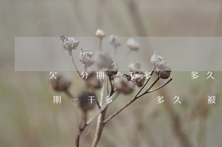 欠來分期一千多塊錢多久會被起訴-欠來分期一千多塊錢多久會被起訴呢