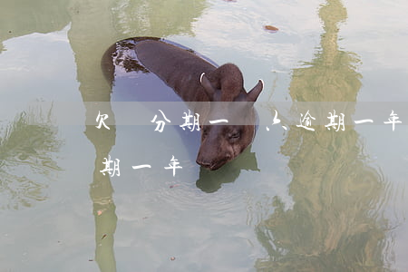 欠來分期一萬六逾期一年(欠來分期一萬六逾期一年)
