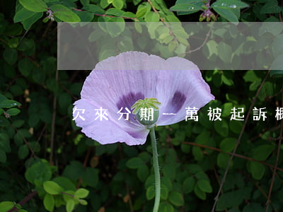 欠來分期一萬被起訴概率有多大