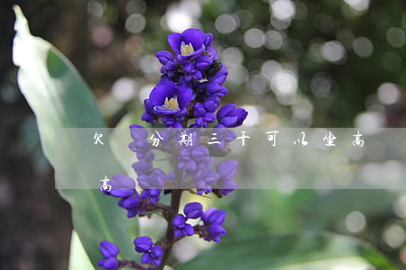 欠來分期三千可以坐高鐵嗎(來分期逾期能坐高鐵嗎)