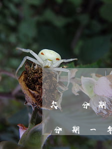 欠來分期不還會(huì)有什么后果(欠來分期一年多不還會(huì)怎樣)