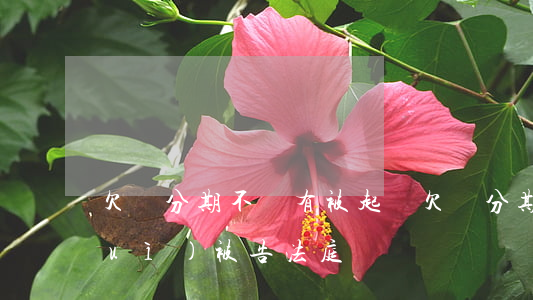 欠來分期不還有被起訴(欠來分期不還會(huì)被告法庭嗎)
