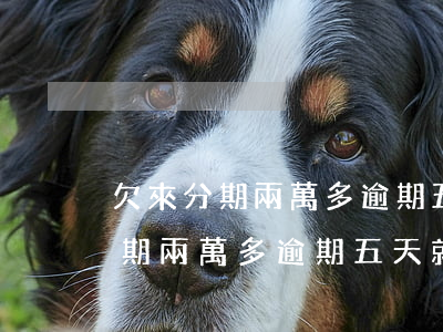 欠來分期兩萬多逾期五天就要起訴-欠來分期兩萬多逾期五天就要起訴怎么辦