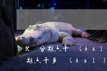 欠來分期六千會(huì)被起訴嗎(欠來分期六千多會(huì)被起訴嗎)