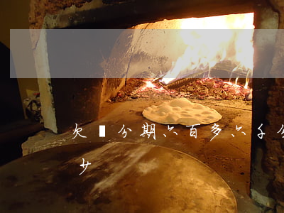 欠來分期六百多(六千分期24期一個月還多少)