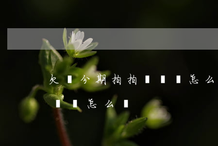 欠來分期拍拍貸錢會怎么樣(欠來分期拍拍貸錢會怎么樣)