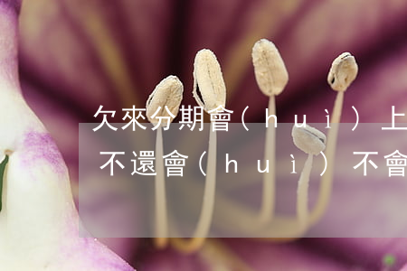 欠來分期會(huì)上征信嗎(來分期借錢不還會(huì)不會(huì)上征信)