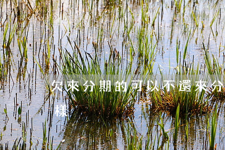 欠來分期的可以不還(來分期欠錢不還會怎么樣)