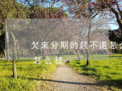 欠來分期的錢不還怎么辦(來分期欠錢不還會怎么樣)